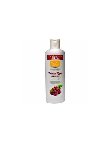 NATURAL HONEY FRUTOS ROJOS 650ML