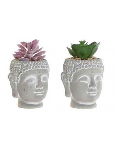 PLANTA CEMENTO PE 8,5X8,5X14 2 SURT.