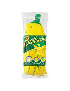 FREGONA BALLERINA