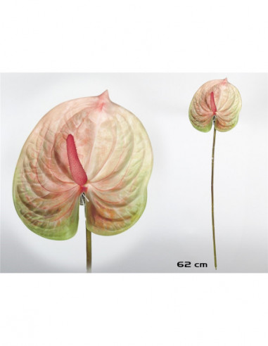 VARA ANTHURIUM 3D- 62 CM (TE)