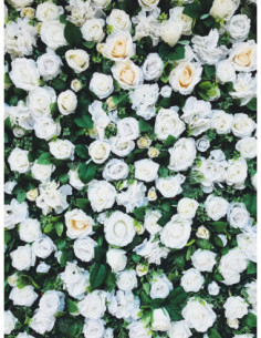 RAMO FLORES CAMPO ARTIFICIAL